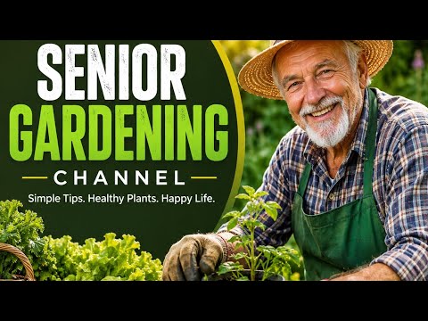 How Seniors Can Create a Stunning Garden at Home