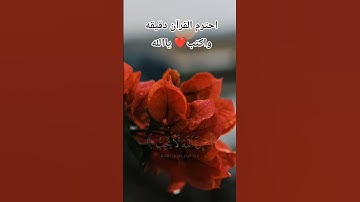 متابعه واكسبلورر احترم القرآن دقيقه واكتب ياالله ❤️ #تلاوة_خاشعة #الرحمن #راحة_نفسية #قران_كريم
