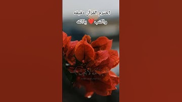 متابعه واكسبلورر احترم القرآن دقيقه واكتب ياالله ❤️ #تلاوة_خاشعة #الرحمن #راحة_نفسية #قران_كريم