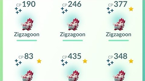 10 Shundo Galarian Zigzagoon Community Day 100 iv Shiny✨ 10 Zigzagoon Pokemon Go Pgsharp