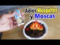 👉QUEMA ESTO Y EN UNOS SEGUNDOS NO HABRA NI MOSCAS NI MOSQUITOS - Mejor que Cualquier Repelente!