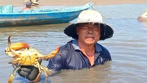 (p2) Cao Thủ Bắt Cua Biển Siêu khủng trong Vuông Nuôi Tôm như thế nào?/The master catches sea crabs.
