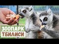 ЗООПАРК в Тбилиси / Tbilisi Zoo