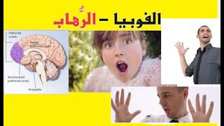 أ. د/ أحمد الشافعي: الفوبيا أو الرُّهاب (الخوف المرضي)