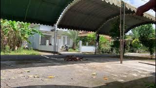 LIVE LOADING TENDA HAJATAN MEKARSARI AUDIO