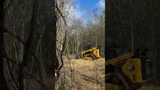Before/After Forestry Mulching