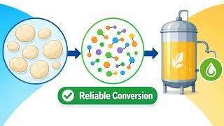 Alpha amylase for brewing — Food-Grade Enzyme | Order Online by the Kilo
