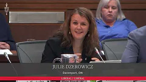 MP Dzerowicz Questions Witnesses at FINA During Pre-Budget Consultations