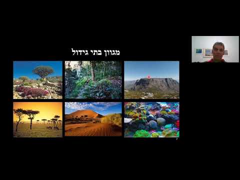 וִידֵאוֹ: מהו מיקוד של דרום אפריקה?