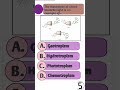 neet biology MCQ question #neet #neet #mcqncert #biology #mcq #gk #mcqsseries #quiz #neetaspirents