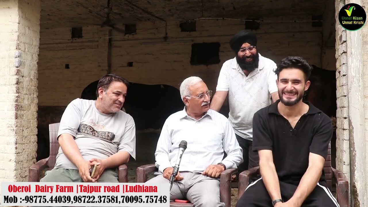 ओबराए डेयरी लुधियाना से कश्मीर जाने वाली 30 लीटर दूध वाली एच एफ क्रॉस 80 से 1.10 लाख में