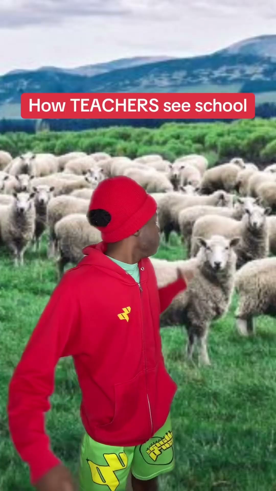 How they see school ?