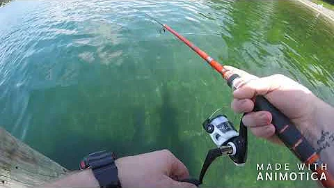 Berkley Lightning Rod & Quantum Q-Ray Review