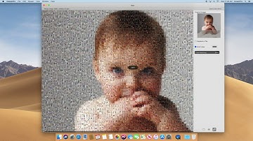 mosaicpro gridlines feature - Photo Mosaic app for MacOS