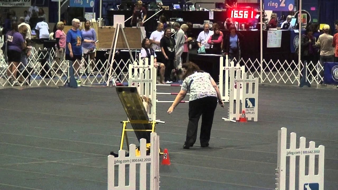 evan vassar time to beat 2014 akc invitational YouTube