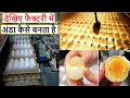 देखिए फैक्ट्री में अंडे कैसे बनाए जाते हैं || anda kaise banta hai || How Eggs Are Made In Factory