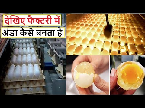 वीडियो: फैबरेज अंडे कैसे बनते हैं?