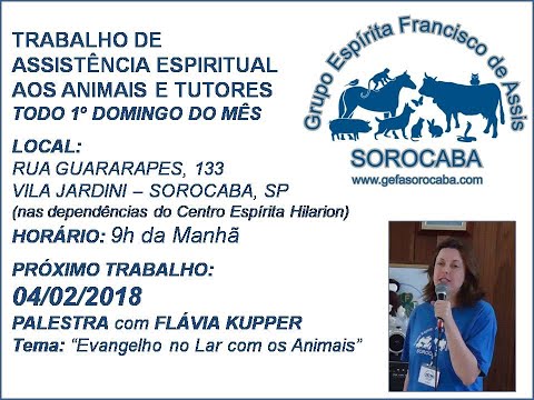 Assista: Palestra presencial - c/ FL�?VIA KUPPER (04/02/2018)