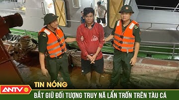 Bắt giữ đối tượng truy nã lẩn trốn trên tàu cá tại vùng biển khu vực phía Nam | ANTV