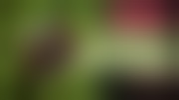 The Game-Changer That Saved My Grow | DIY Auto Watering Setup ft. Cartier Crops