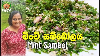 මච සමබල Mint- Minchi Sambol Cook With Chuti