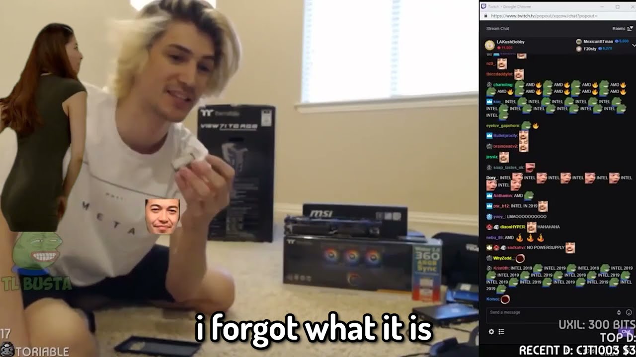 XQC funny moments