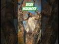 Viridi Marmore Круговорот #музыка #клип #песня #вокал #хит #мрамор #трек #треки #music #hit #vocal