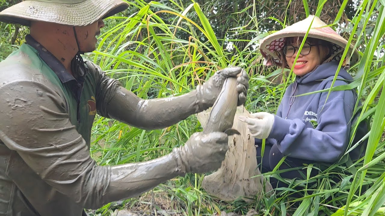 Bụi Sậy Rậm Rạp Chứa Toàn Cá Trê Khủng,Chạm Mặt Ổ Ong Ruồi_Trê Dừa Nấu Mẻ Chuối Xiêm | ONMT #Tập 217