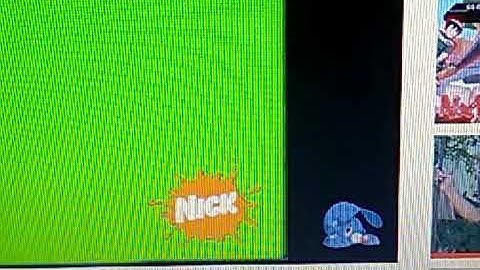 Nickelodeon Fireball Screen Bug (2006)