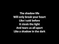 Slash - Shadow Life with lyrics