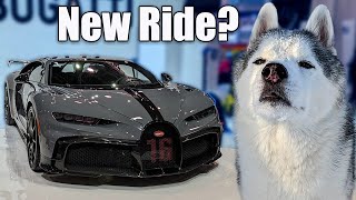 Bugatti Dreams at CES! The Dogs New Ride?