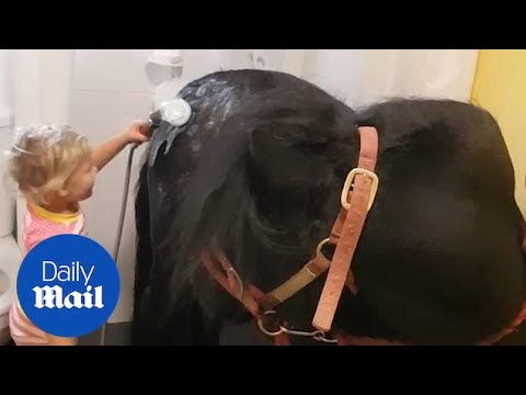 Adorable clip shows three-year-old giving her pony a warm shower