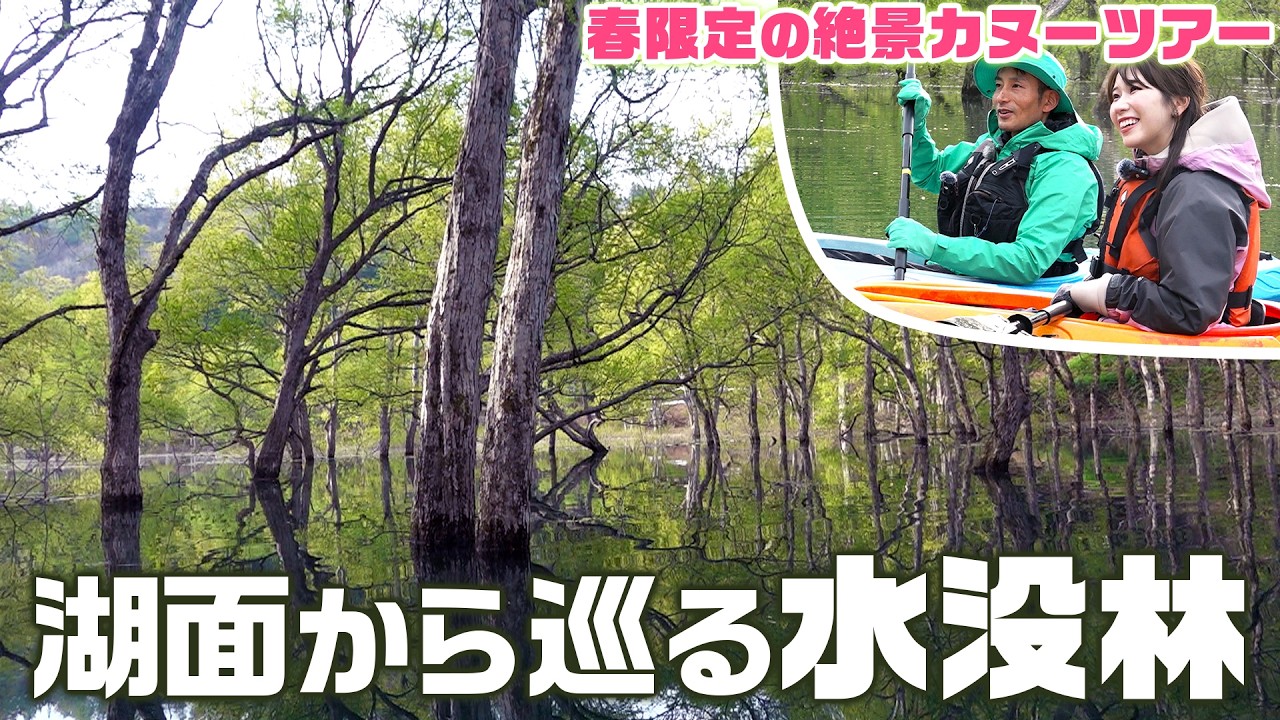 A spectacular canoe tour available only in spring: Explore the