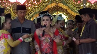 Download Lagu TAYUB INDAH FAMILI ‼️ AGANTONG TAK ATALE MP3 Download Lagu TAYUB INDAH FAMILI ‼️ AGANTONG TAK ATALE MP3