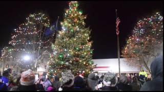 2016 Tree Lighting