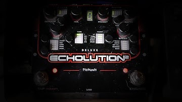 Pigtronix Echolution 2 Deluxe - Pitch Shifted Delays