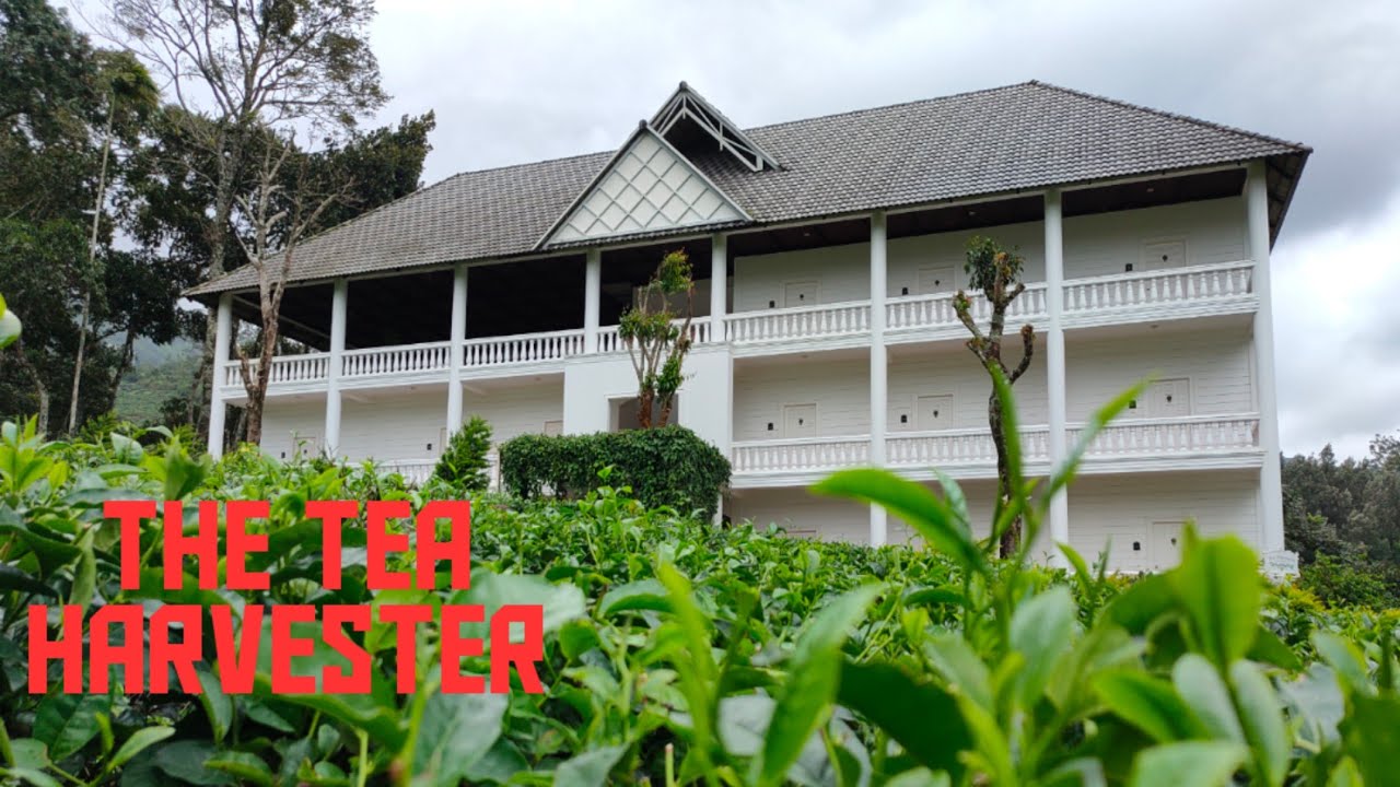 Tea Harvester Munnar Resort Review Munnar Resort YouTube Tea Harvester Munnar Resort Review Munnar Resort YouTube