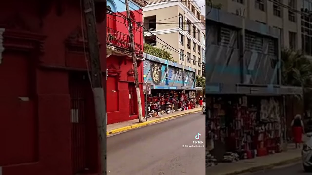 This Street Library is so cool!