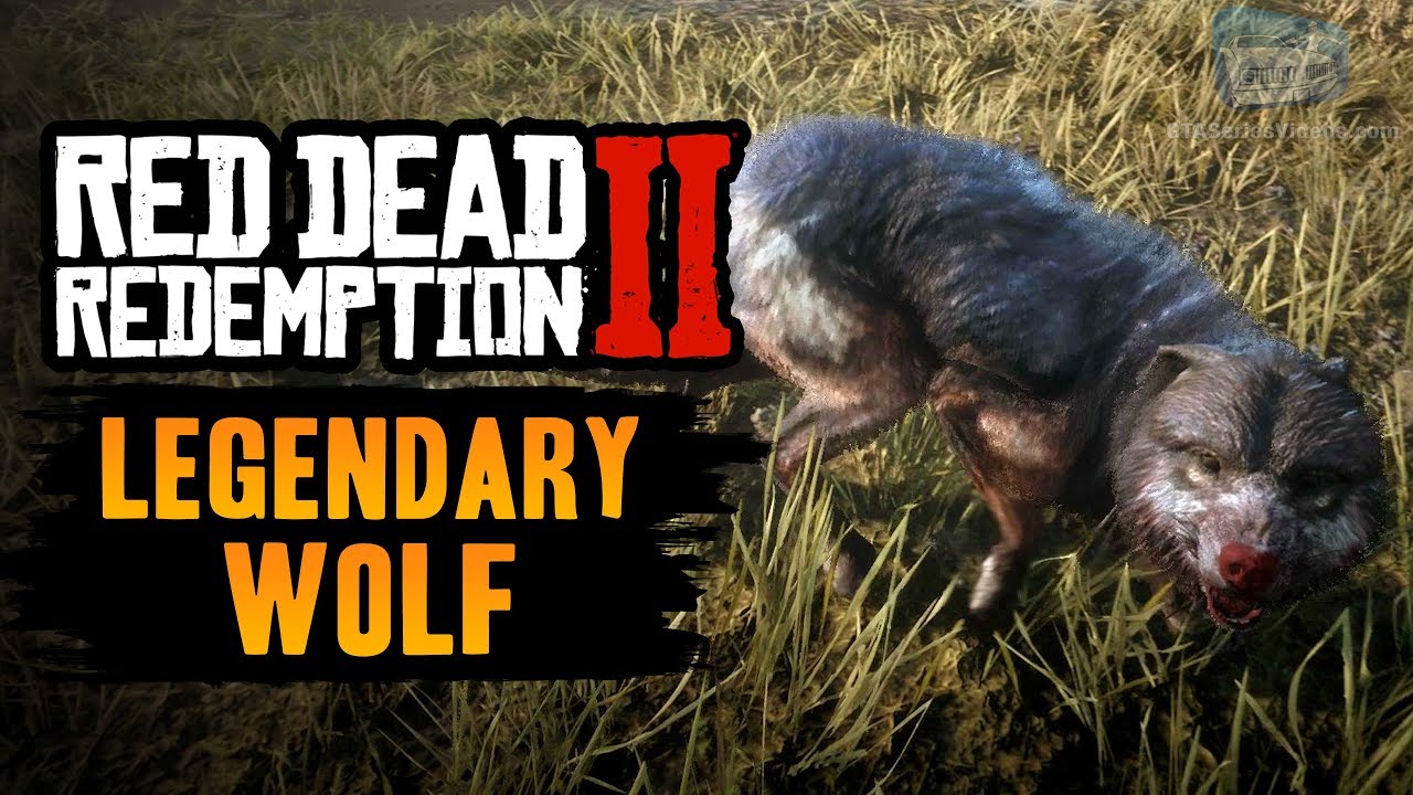 Red Dead Redemption 2 Legendary Animal Legendary Wolf YouTube