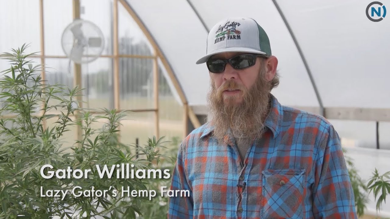 The New Golden Leaf: Lazy Gator's Hemp Farm