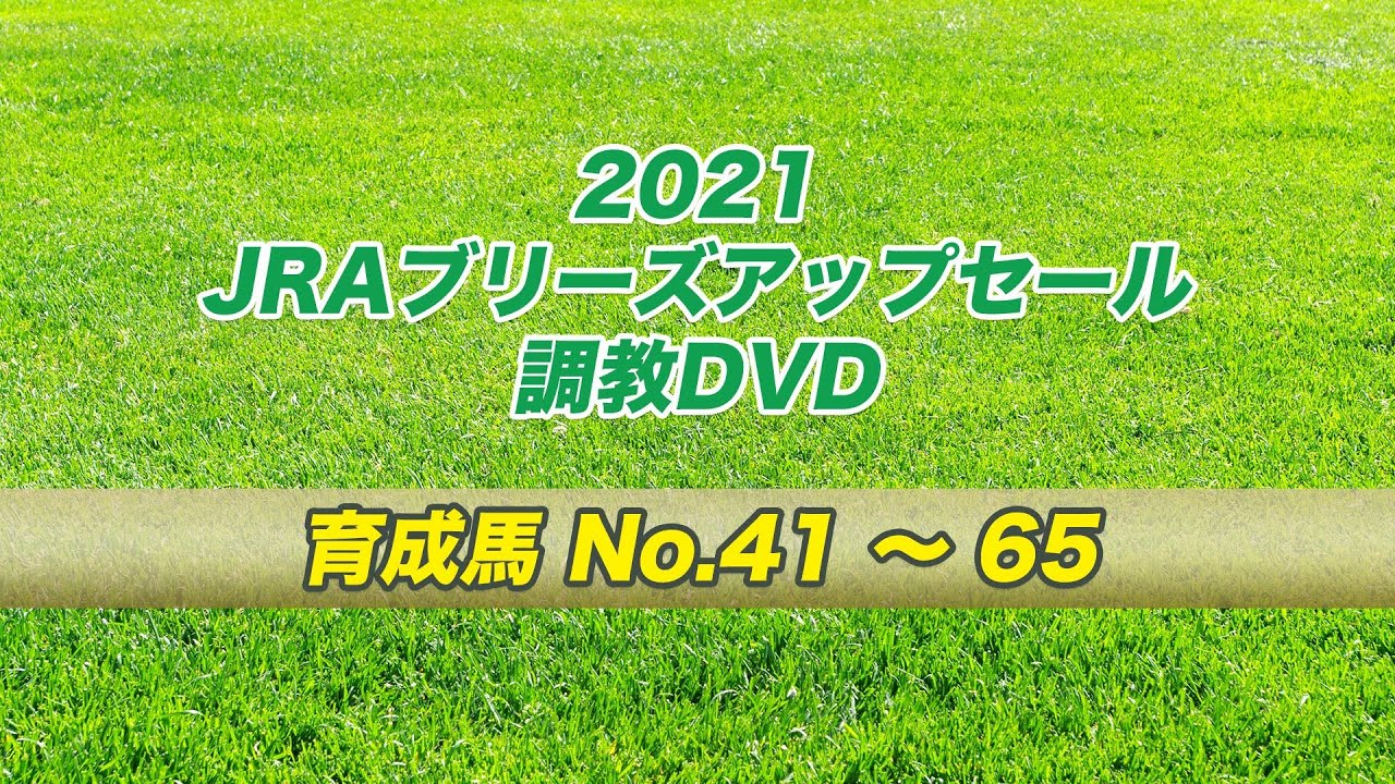 21jraブリーズアップセール No 41 65 Youtube