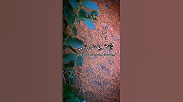 وَمَا تِلْكَ بِيَمِينِكَ يَا مُوسَىٰ/القارئ حسام المنشداوي #قرآن
