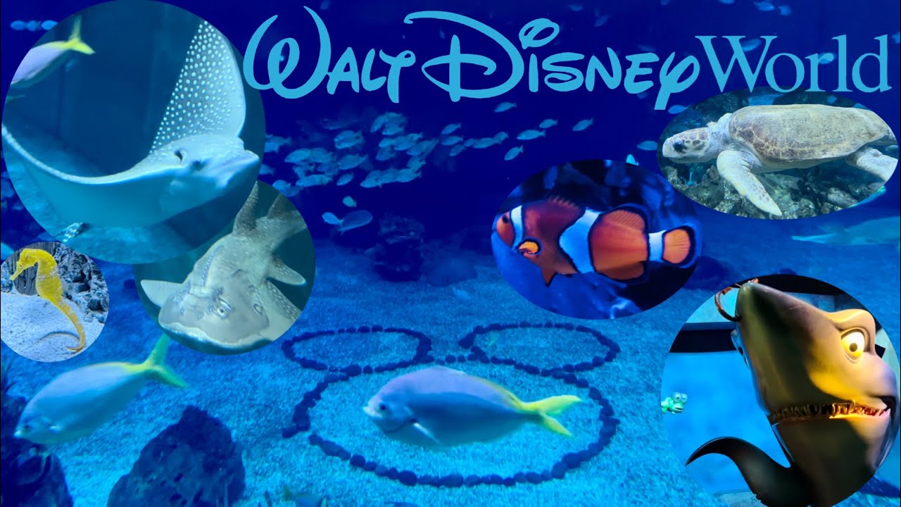 水槽オブジェ ディズニー 人魚 マーメイド オブジェ 人魚姫 インテリア 