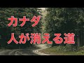 【未解決】忽然と人が消える道 涙のハイウェイ【カナダ】