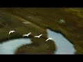 Transmissão ao vivo de Impd Tocantins