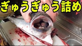釣った魚の口からアレが出てきた。ブリの捌き方【きまぐれクック×渥美拓馬】