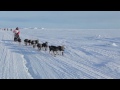 Dallas Seavey, 2012 Iditarod Trail Sled Dog Race Champion, arrives in Nome