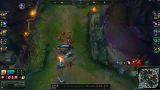 NEW KAYLE BUG