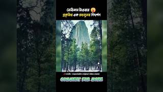 ডেভিলস টাওয়ার প্রকৃতির এক রহস্যময় নিদর্শন😮 #shorts #facts