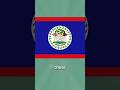 Design of Belize flag...#shorts